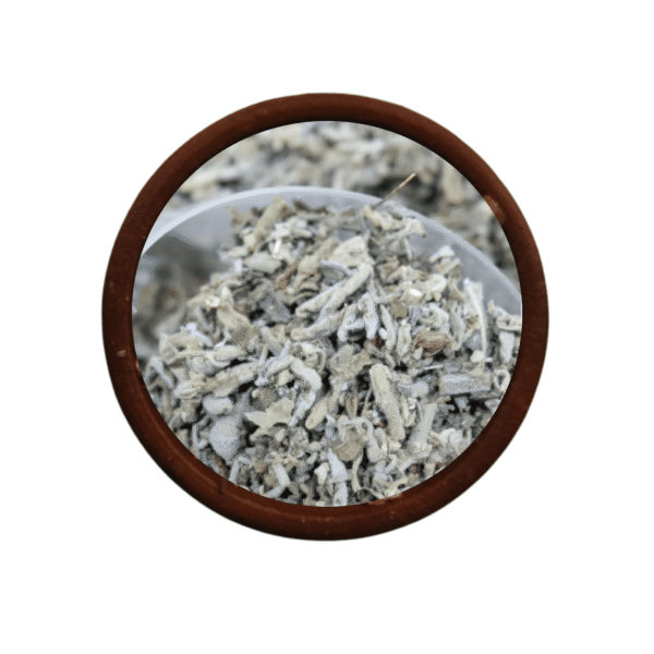 Salvia