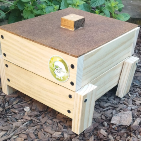 Mini Vermicompostera para niños