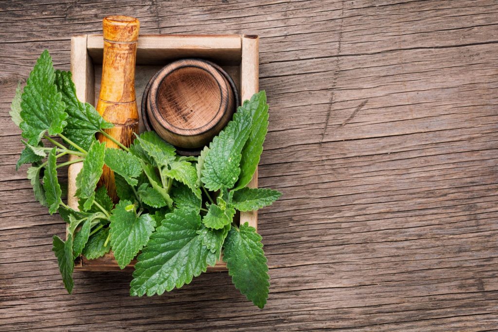 Hierbas para bajar el cortisol naturalmente