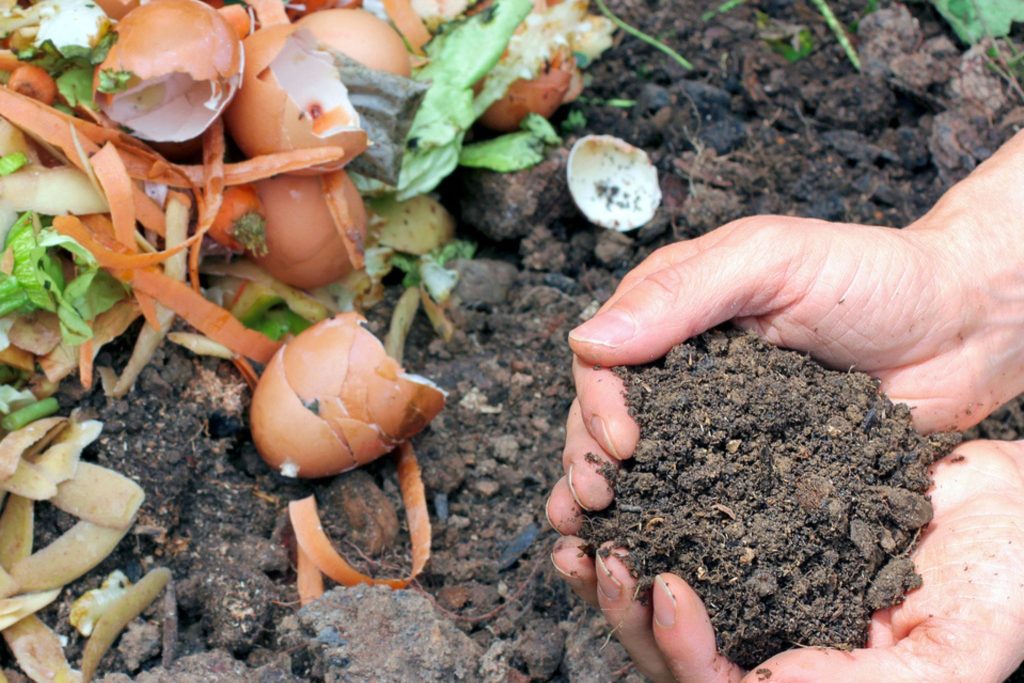 Vermicompostaje