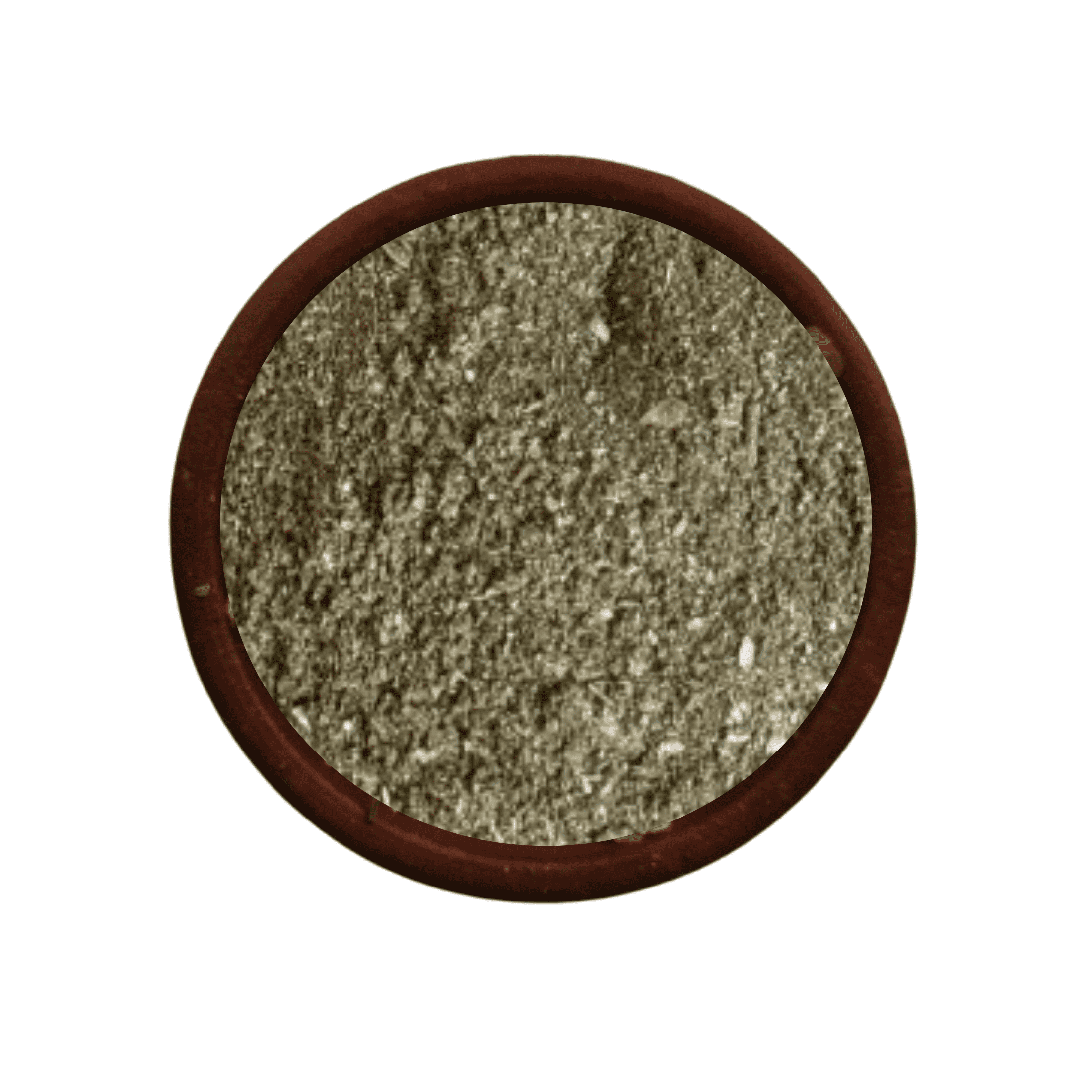 Boldo Corte Semi Polvo 100% Natural Ecohierbas Chile